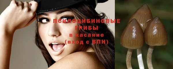 каннабис Богданович