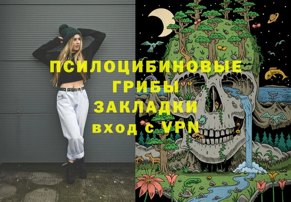 a pvp Бородино
