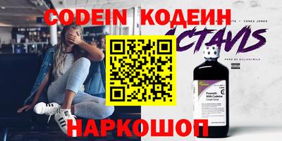 крисы Пенза