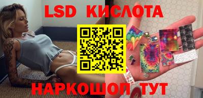 крисы Пенза