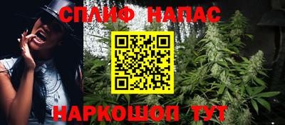 крисы Пенза