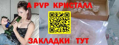 крисы Пенза