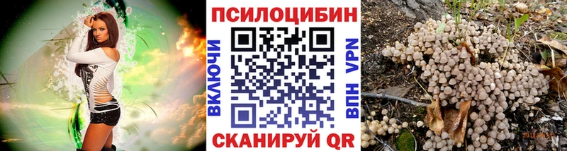 Галлюциногенные грибы Psilocybe  сайты даркнета как зайти  Сердобск 