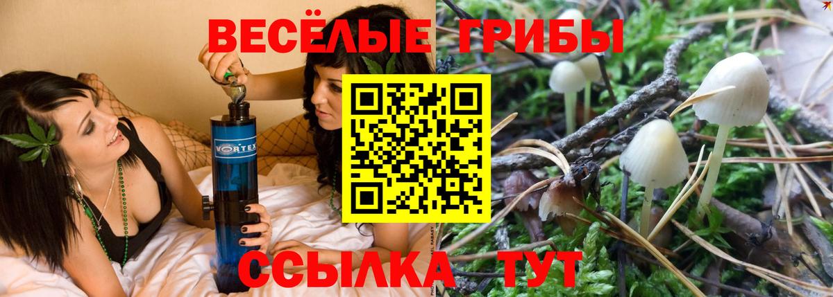 Галлюциногенные грибы Cubensis  Галлюциногенные грибы прущие грибы  Сердобск  Вход с VPN 